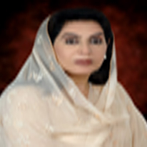 Dr Fehmida Mirza